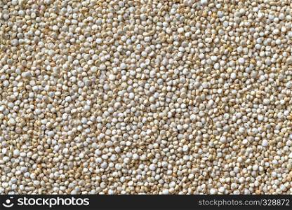 Quinoa: top view