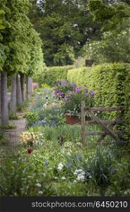 Quintessential English country garden scene landscape with fresh Spring flowers in cottage garden