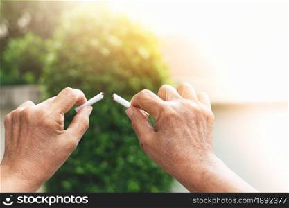 Quit smoking, no tobacco day, mother hands breaking the cigarette