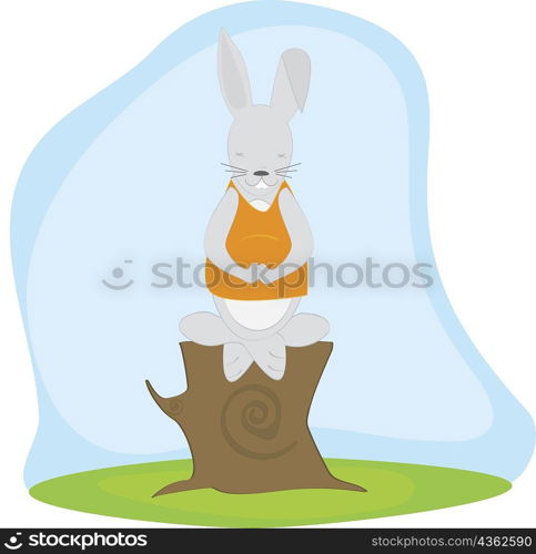 Rabbit doing meditation on a tree stump
