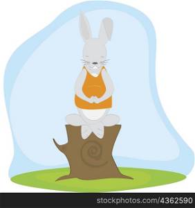 Rabbit doing meditation on a tree stump