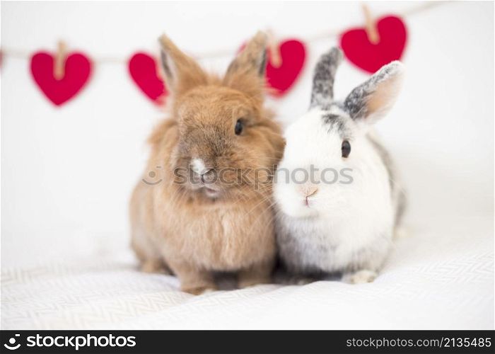 rabbits near ornament hearts thread