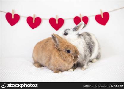 rabbits near row ornament hearts thread