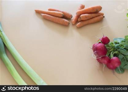 radish bunch on orange background organic food
