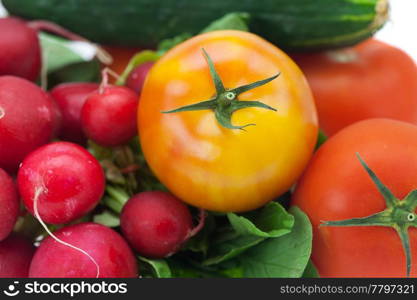 radish, cucumber and tomato isolated on white