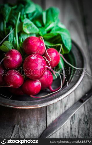 Radish on wooden background