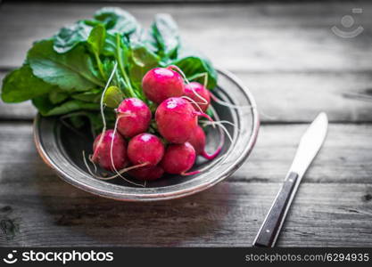 Radish on wooden background