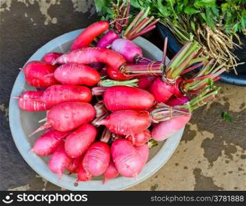 Radish vegetable in the fresh market