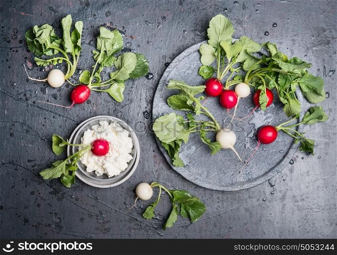 Radishes with green haulm leaves an grain cheese on dark rustic background, top view, place for text. Snack vegetarian food
