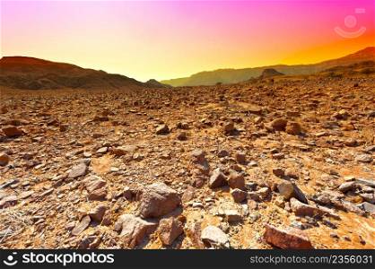Raging colors of the rocky hills of the Negev Desert in Israel. Breathtaking landscape and nature of the Middle East at sunset