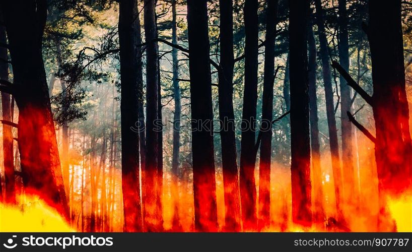 Raging pinewood forest fire - digital composite.. Raging pinewood forest fire - digital composite with copy space