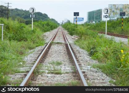 Rail is the path forward. The grass on either side of Railroad tracks