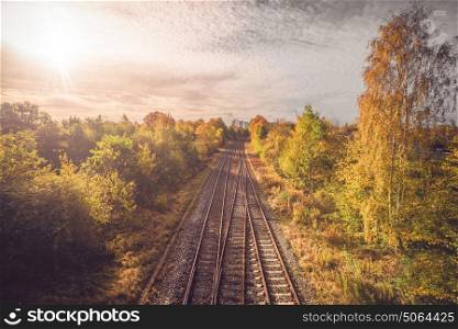 Railroad in autumn going to the city with colorful trees in autumn colors by the tracks in the fall