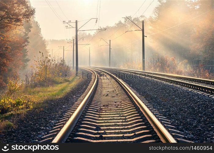 Railroad in beautiful forest in fog at sunrise in autumn. Colorful industrial landscape with railway platform, sky with gold sunbeams, trees in foggy morning in fall. Railway station. Transportation
