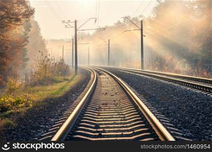 Railroad in beautiful forest in fog at sunrise in autumn. Colorful industrial landscape with railway platform, sky with gold sunbeams, trees in foggy morning in fall. Railway station. Transportation