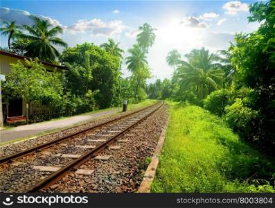 Railroad through green palm forest in Sri Lanka