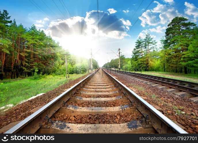 Railroad through the green pine forest close-up