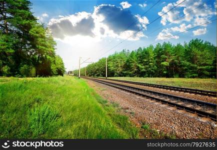 Railroad through the pine forest at sunny day