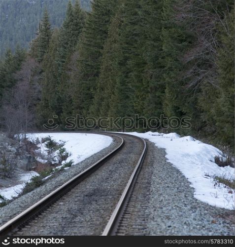 Railroad track passing through a forest, Whistler, British Columbia, Canada