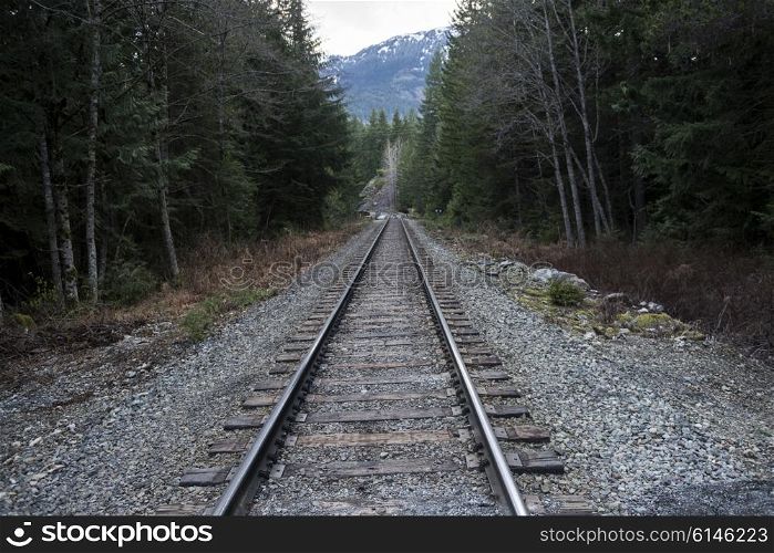 Railroad track passing through forest, Whistler, British Columbia, Canada