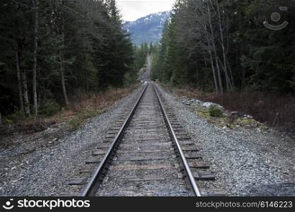 Railroad track passing through forest, Whistler, British Columbia, Canada