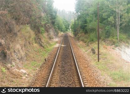 Railroad track winding through green misty forest, train point of view.
