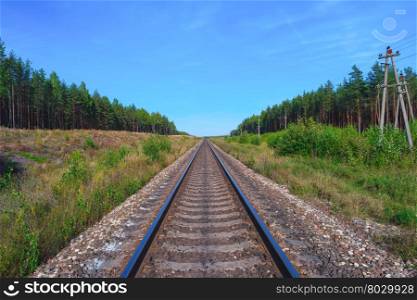 Railroad track with green forest on both sides. Railroad track and green forest