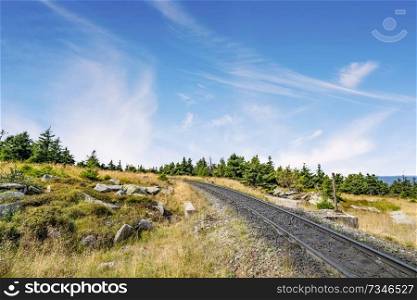 Railroad tracks in a dry nature landscape with green pine trees in the summer