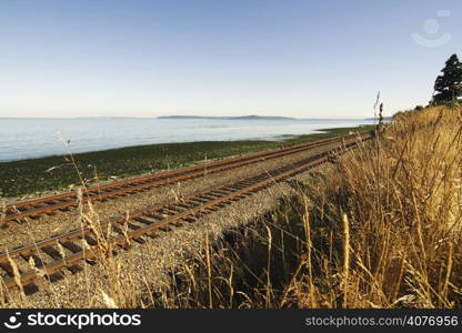 Railroad tracks next to the sea