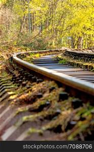 rails out of order in a forest in Poland, deep angle