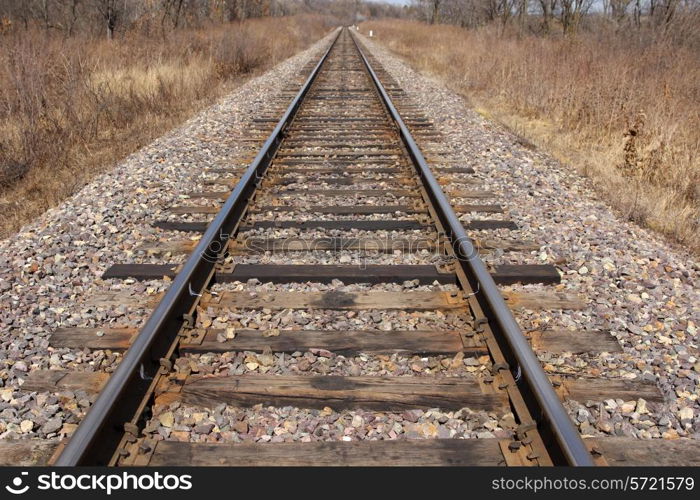 Railway leaving afar to horizon.