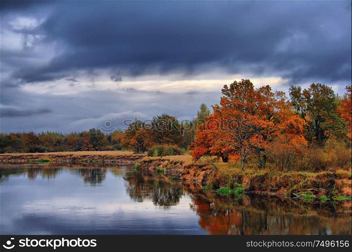 Rain and overcast sky over misty fall woodland. Orange autumn trees on riverbank. Golden Autumn Landscape. Colorful trees in forest.