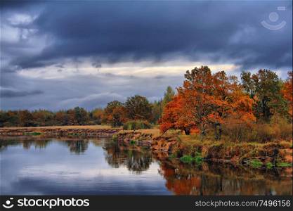 Rain and overcast sky over misty fall woodland. Orange autumn trees on riverbank. Golden Autumn Landscape. Colorful trees in forest.