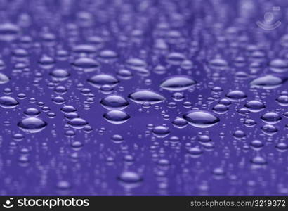 Rain Beading on Car Hood