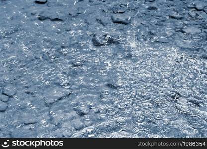 Rain. Beautiful abstract background with bad weather. Rain drops falling into the water.