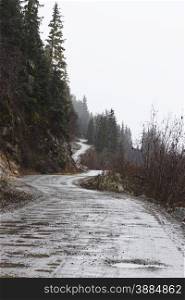 Rain coats the winding, rising Jeep Trail of Dalton Road near Haines, Alaska