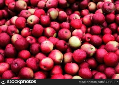 Rain covered apples