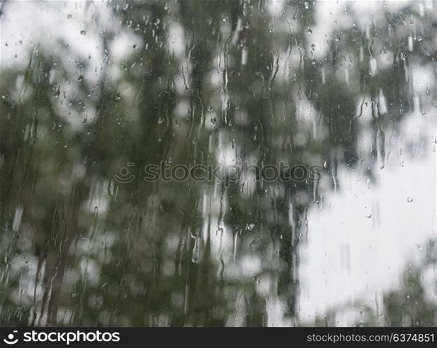 Rain drops on window glasses surface with trees against the sky. Rain drops on window glasses surface with trees against the sky.