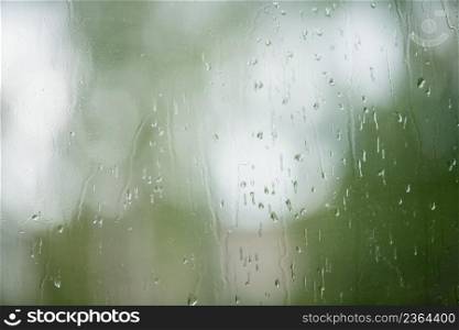 Rain drops on window with green tree in background
