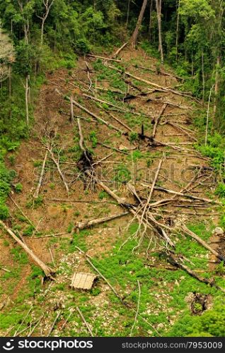 Rain forest destruction in thailand form Aerial view