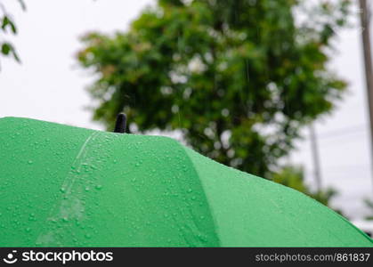 Rain on the green umbrella. Drop water