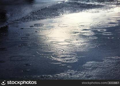 rain puddles on a pavement in the city