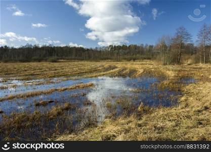 Rain water on a wild meadow and cloud on the blue sky