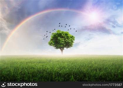 Rainbow after the rain, the skies over the beautiful green meadow, with lonely tree.. Rainbow with meadow.