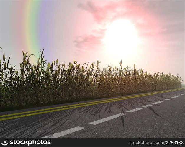 Rainbow and bright dawn on a background asphalt of road and bushes on a roadside