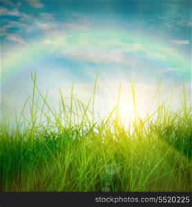 Rainbow and Spring green grass and sun on blue sky background
