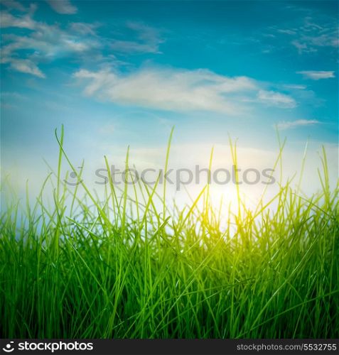 Rainbow and Spring green grass and sun on blue sky background