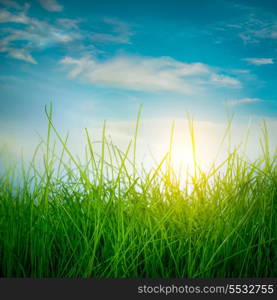 Rainbow and Spring green grass and sun on blue sky background