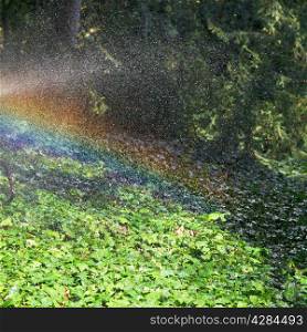 rainbow during rain in garden in sunny autumn day, Crimea
