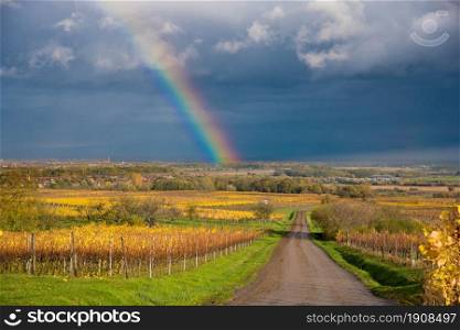 Rainbow in Alsace in France